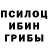 Псилоцибиновые грибы GOLDEN TEACHER Esteban Rafael