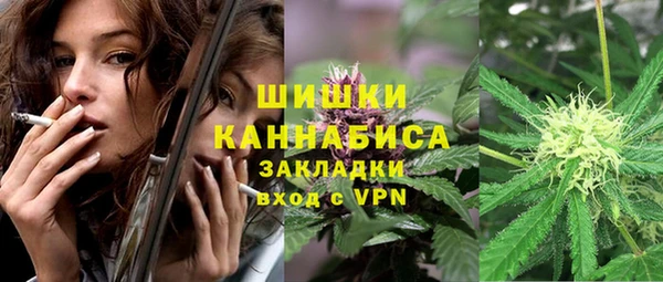 PSILOCYBIN Нязепетровск