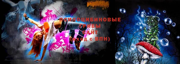 не бодяженный Няндома