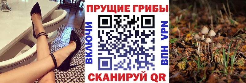 Псилоцибиновые грибы Psilocybine cubensis  что такое наркотик  ссылка на мегу ССЫЛКА  Энгельс 